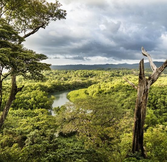 naturaleza en estado puro en Costa Rica