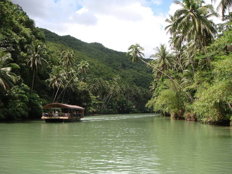 Selva tropical Bohol